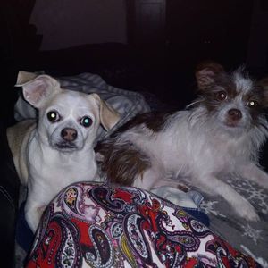 Meet your Posher, Kimberlyna